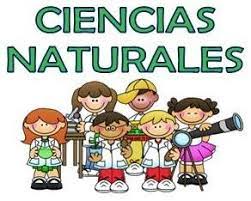 Enseñanza de las Ciencias Naturales | Mind Map